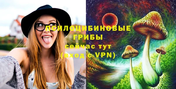 ешки Верхний Тагил