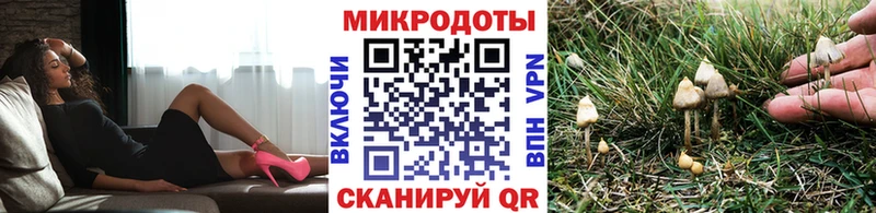 Купить закладки Лангепас Псилоцибиновые грибы Psilocybine cubensis